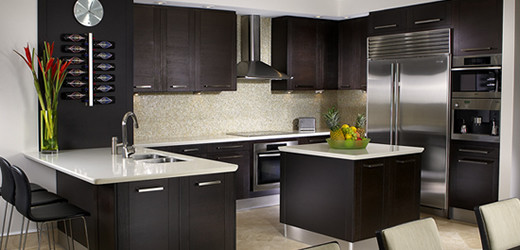 Фото кухонной мебели интерьера кухни в черно-белом цвете с черными фасадами